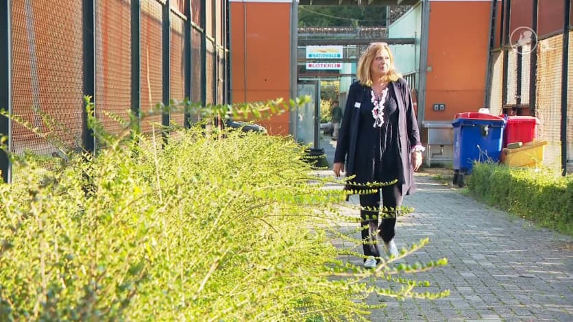 Stichting House of Animals reageert op overlijden Loretta Schrijver