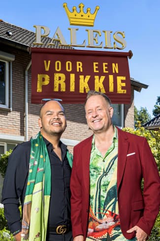 Paleis voor een prikkie